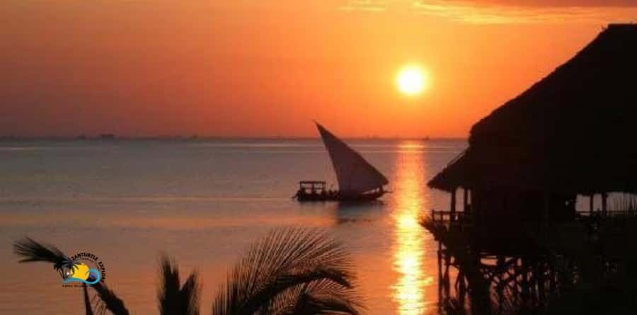 Zanzibar: Nungwi Cultural Village Tour & Sunset Dhow Cruise - Who will enjoy this experience most