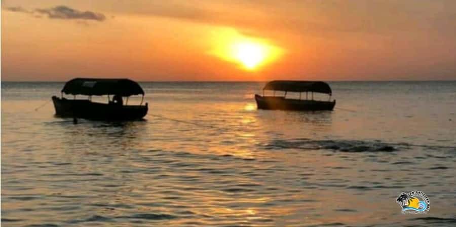Zanzibar: Nungwi/Kendwa Beach Sunset Dhow Cruise with Fruits - Setting out from Nungwi Beach