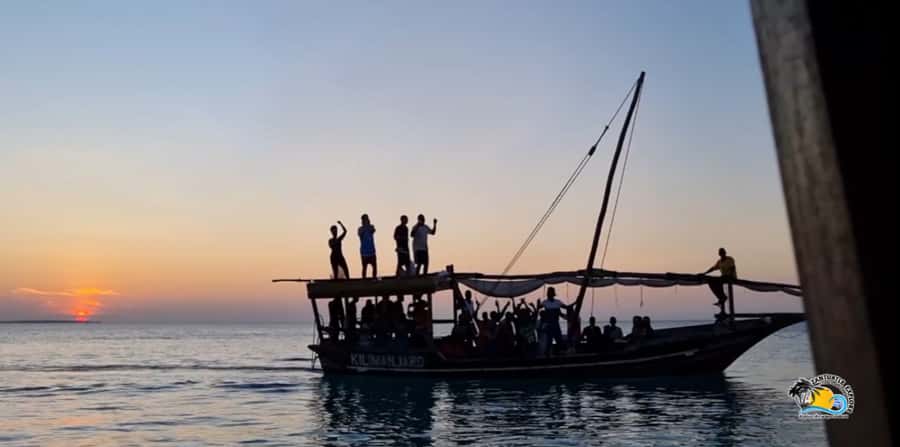 Zanzibar: Nungwi/Kendwa Beach Sunset Dhow Cruise with Fruits - Fruit, swimming, and the starfish stop