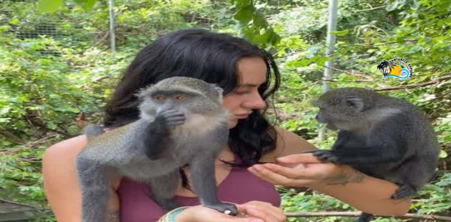Zanzibar: Nungwi Kilosa Zoo Conservation Tour - Key things to know before visiting Kilosas