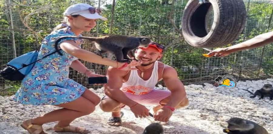Zanzibar: Nungwi Kilosa Zoo Conservation Tour - The first look: a small zoo with a personal feel