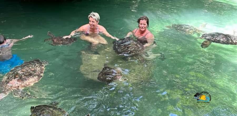 Zanzibar: Nungwi Kilosa Zoo & Swimming with Turtles - What the $61 price really covers