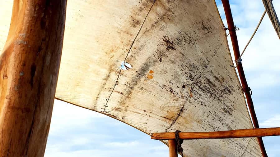 Zanzibar: Prison Island and Nakupenda Sandbank Tour - Guide language and the level of explanation