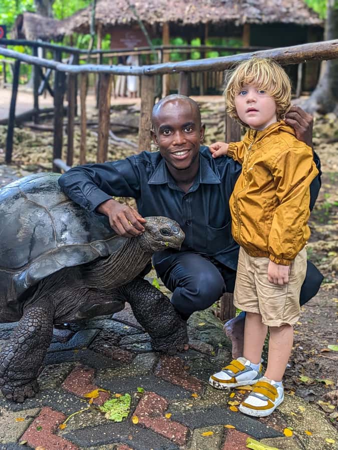 Zanzibar: Prison Island & Giant Tortoises with Pickup - Meeting the giant Aldabra tortoises