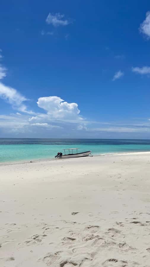 Zanzibar: Prison Island & Giant Tortoises with Pickup - Guide quality can make or break the visit