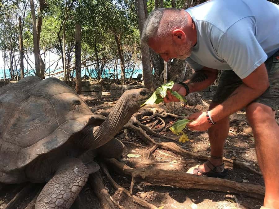 Zanzibar: Prison island half day tour - Why Prison Island makes a good half-day outing