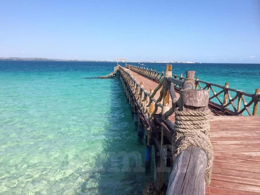 Zanzibar: Prison island half day tour - Meeting the Aldabra giant tortoises