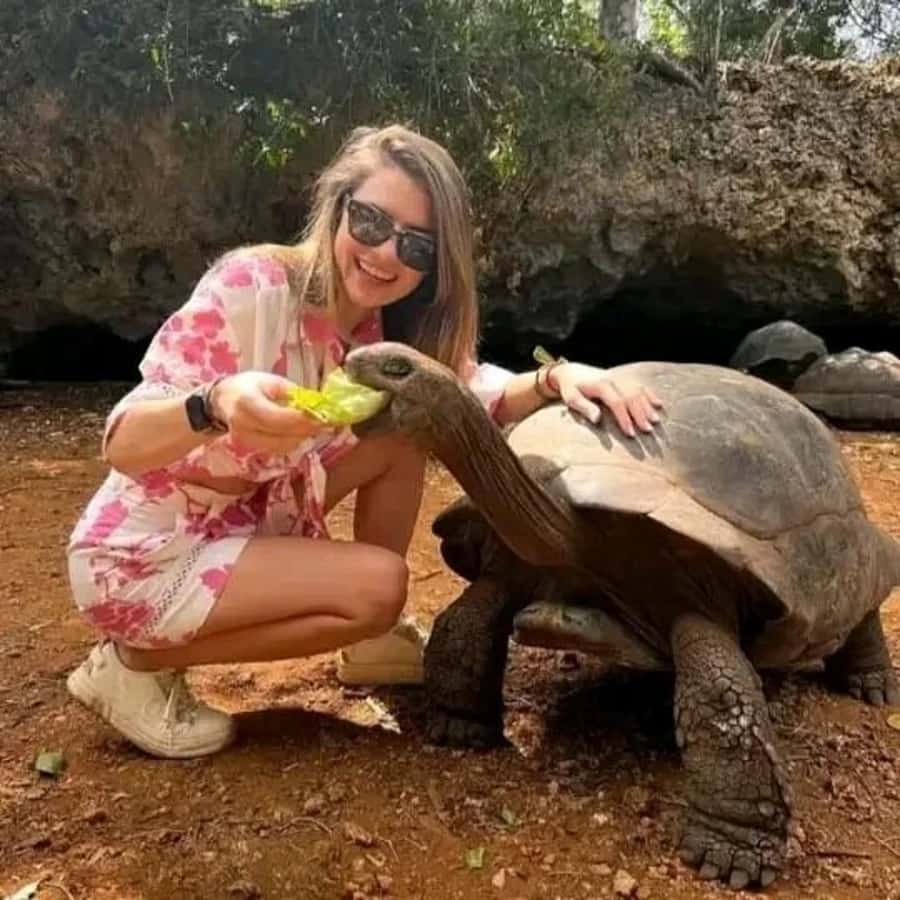 Zanzibar: Prison island half day tour - Peacocks, photographs, and time to look around
