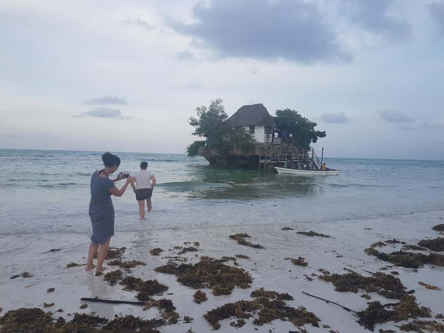 Zanzibar: Prison Island, Jozani Forest and Paje Beach Tour - A full day built around Zanzibar’s contrasts