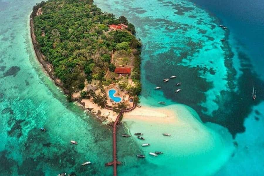 ZANZIBAR: Prison Island, Jozani Forest & SeaTurtle Sanctuary - Key Points At a Glance
