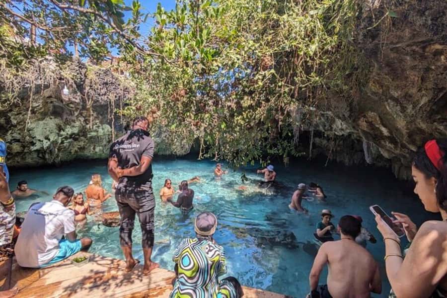 ZANZIBAR: Prison Island, Jozani Forest & SeaTurtle Sanctuary - Jozani Forest and Red Colobus Monkeys