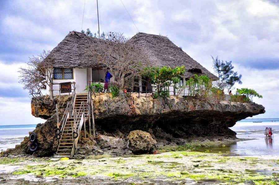 Zanzibar: Prison Island, Monkeys, and Kuza Cave Private Tour - Key points to know before booking