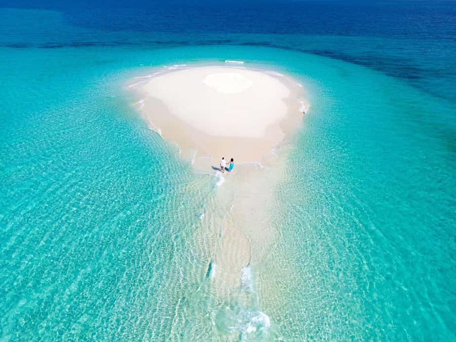 Zanzibar: Prison island & Nakupenda Sandbank Small-GroupTour - Seafood lunch on the sand