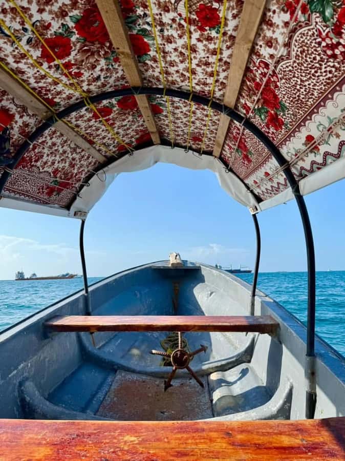 Zanzibar: Prison island & Nakupenda Sandbank Small-GroupTour - Who should book this Zanzibar outing?