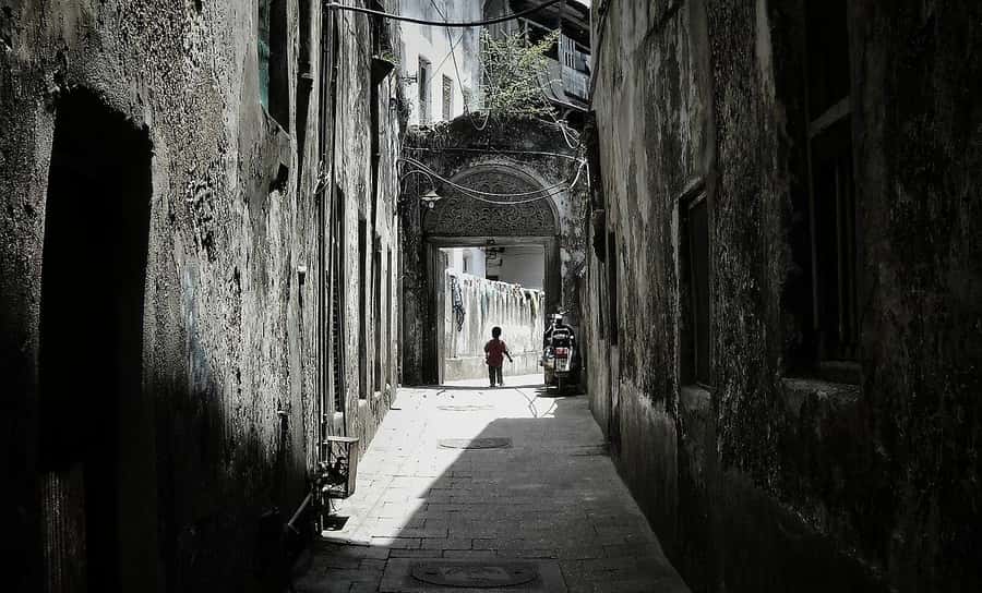 Zanzibar: Prison Island, Nakupenda, Stone Town Trip with BBQ - What the $41 price really buys you