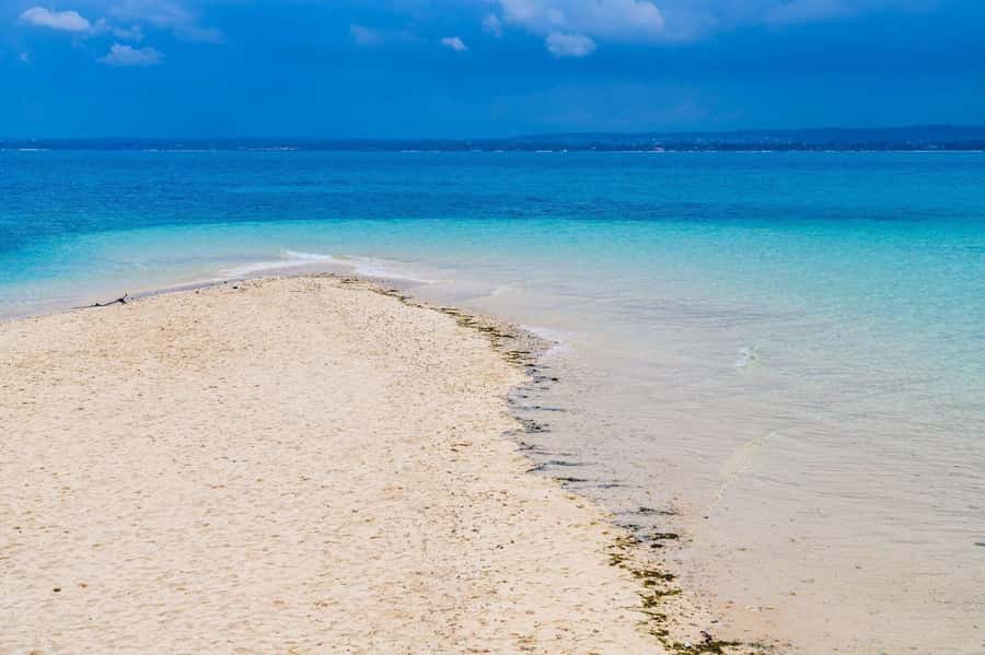 Zanzibar; Prison Island, Nakupenda, StoneTown Tour with BBQ - Nakupenda Sandbank: beautiful, social, and tide-dependent