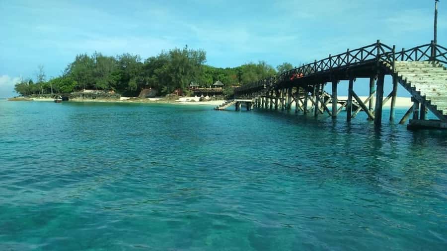 Zanzibar: Prison island Private half day tour - The local guide makes the difference