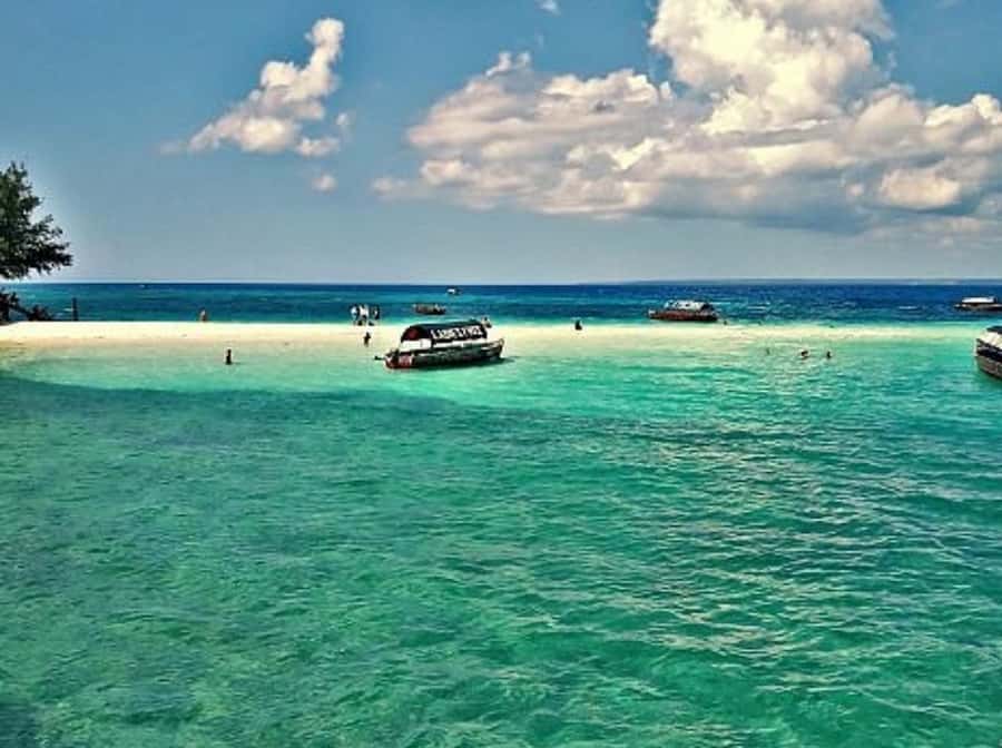 Zanzibar: Prison island Private half day tour - A closer look at the boat and road transfers