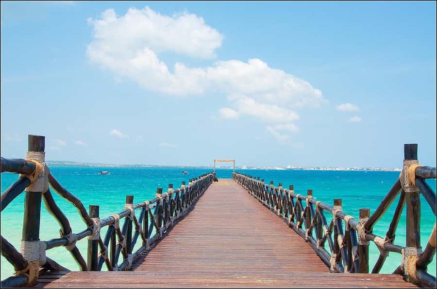 Zanzibar: Prison island Private half day tour - Mangroves, herbs, and the Hakuna Matata moment