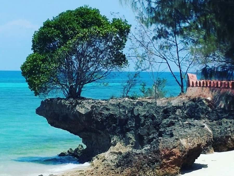 Zanzibar: Prison island Private half day tour - Who should book this Prison Island outing?