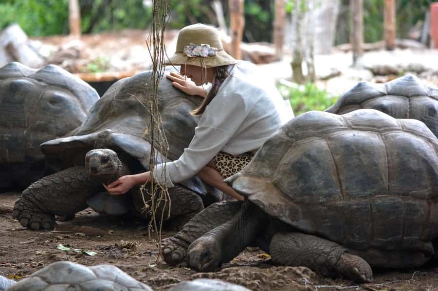 Zanzibar: Prison island, Sea Turtle Sanctuary + Mtende Beach - The Nakupenda question