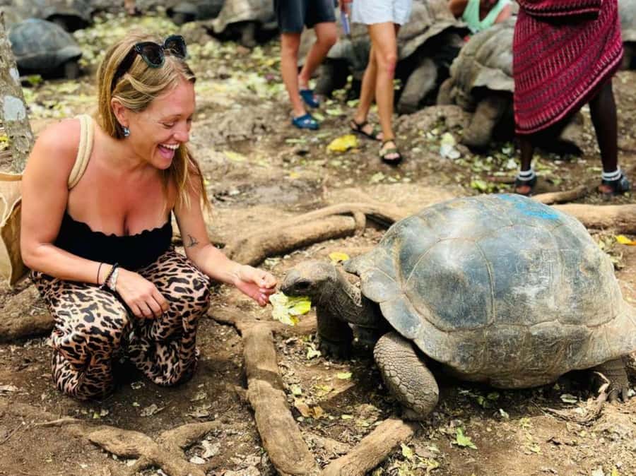Zanzibar: Prison island, Sea Turtle Sanctuary + Mtende Beach - Who should book this experience?