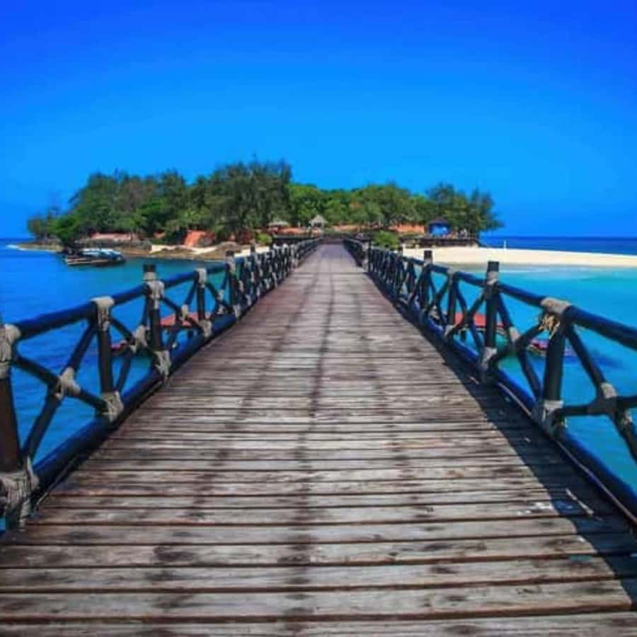 ZANZIBAR: Prison Island, Spice Farm Visit & Turtle Swim Tour - Key points to know before booking