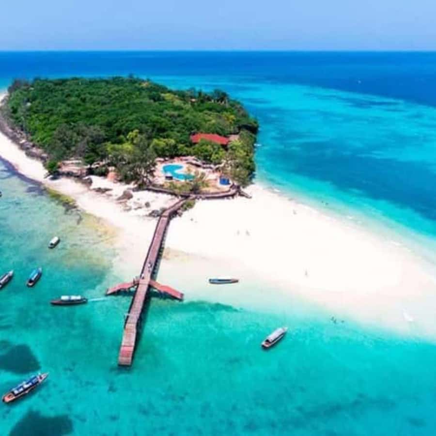 ZANZIBAR: Prison Island, Spice Farm Visit & Turtle Swim Tour - Why this Zanzibar day trip works