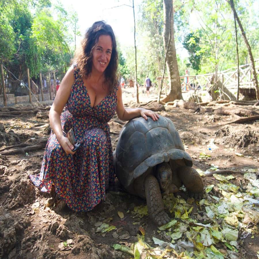 ZANZIBAR: Prison Island, Spice Farm Visit & Turtle Swim Tour - Timing, transfers, and the real pace of the day