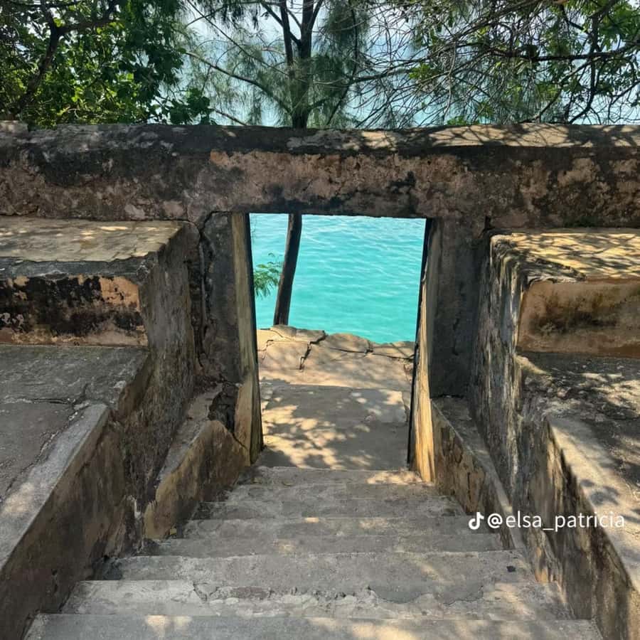 ZANZIBAR: Prison Island, Spice Farm Visit & Turtle Swim Tour - The boat ride to Prison Island