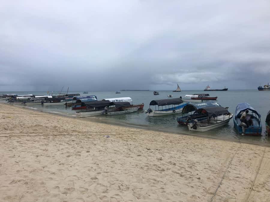 Zanzibar: Prison Island, Stone Town, & Spice Farm Tour - The day at a glance