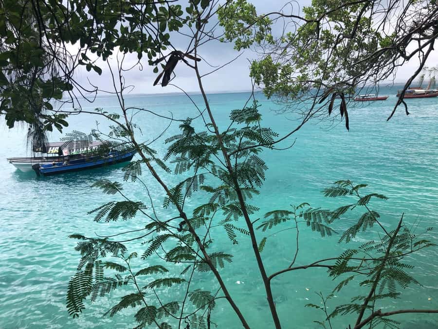 Zanzibar: Prison Island, Stone Town, & Spice Farm Tour - Who should book this day?