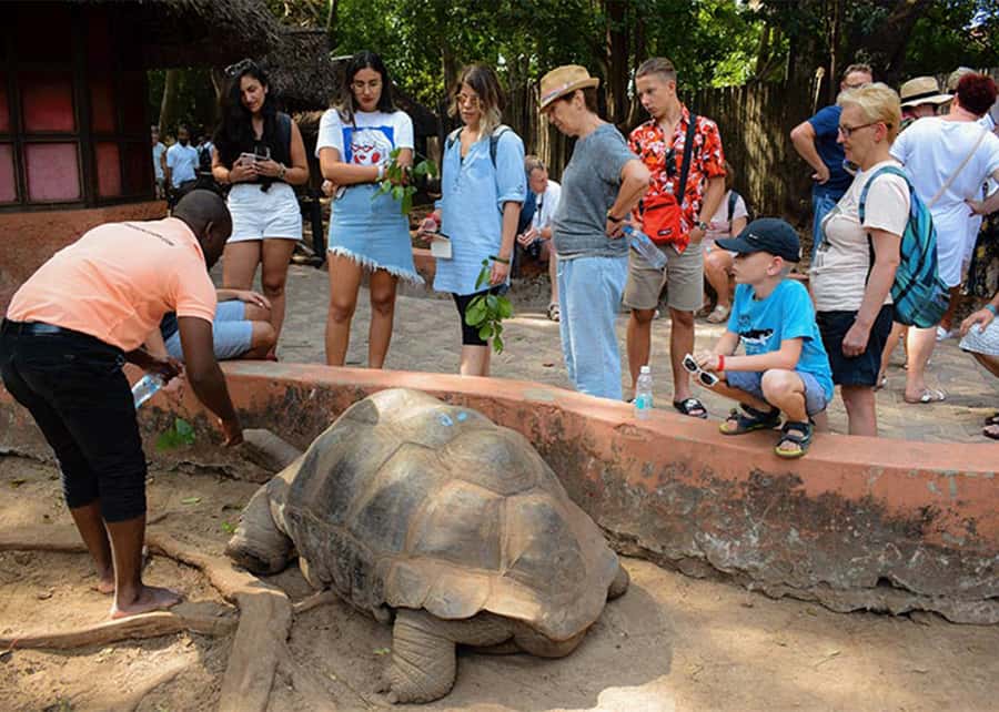 Zanzibar Prison Island , Stown Town & Nakupenda (Sandbank) - Changuu Island combines ruins, tortoises, and sea time