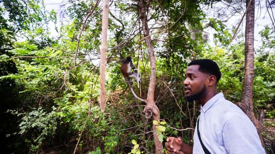 Zanzibar: Prison Island, Tortoise, Jozani Forest Guided Tour - Why this Zanzibar day works so well