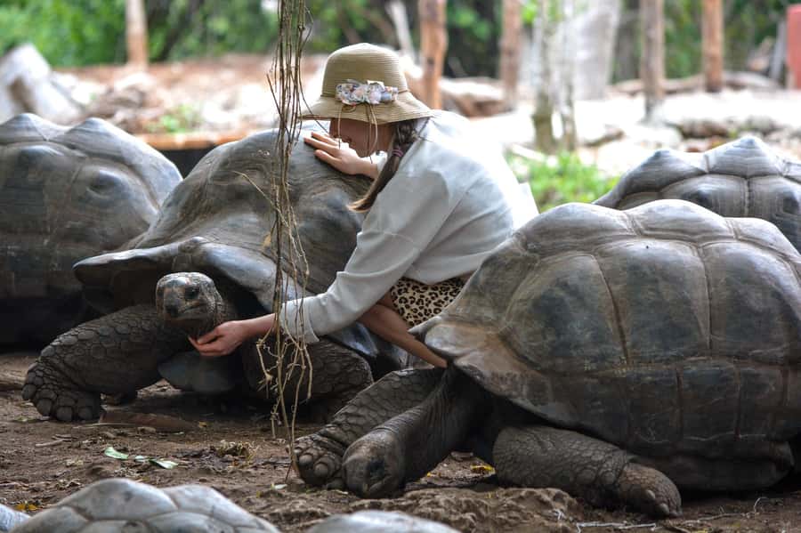 Zanzibar : Prison Island Tour - Meeting Prison Island’s giant tortoises
