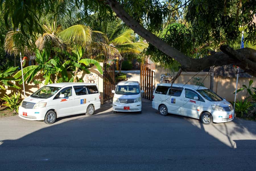 Zanzibar : Prison Island Tour - Who will enjoy this half-day outing?