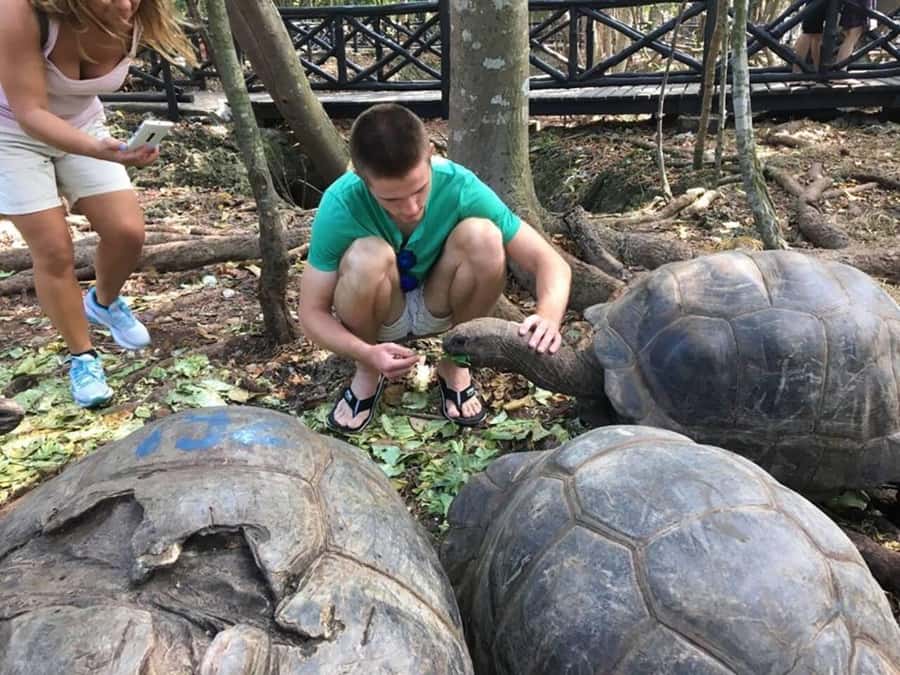 Zanzibar: Prison Island Tour with Giant Tortoises &Boat Ride - Key points before you book