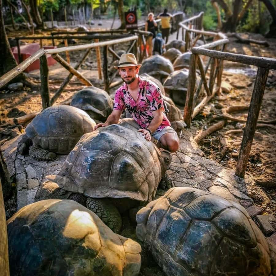 Zanzibar: Prison Island Tour with Giant Tortoises &Boat Ride - Simple ways to get more from the visit