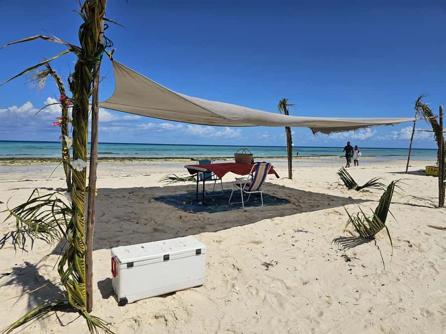 Zanzibar: Prison Island Tour with Lunch on the Sandbank - Crossing to an island with an unexpected past