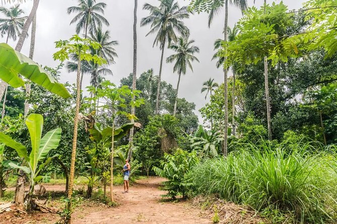 Zanzibar Private Spice Farm and Stonetown Tour(Include Lunch) - A local lunch gives the farm visit a purpose