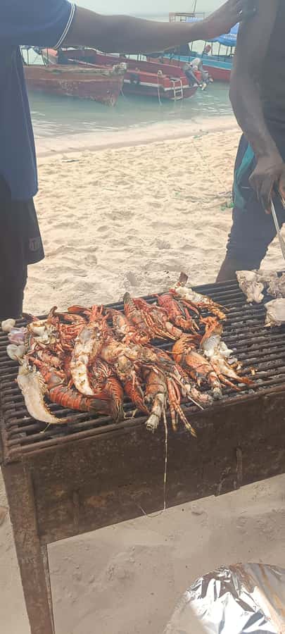 Zanzibar: Private SpiceFarm, PrisonIsland And StoneTown Tour - A short boat ride to Prison Island