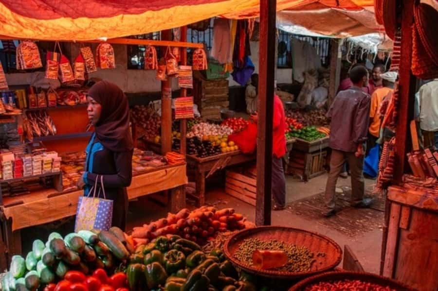 Zanzibar: Private Stone Town, Prison Island & SpiceFarm Tour - The spice farm: Zanzibar through smell and taste