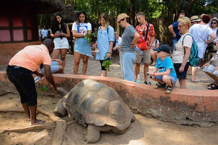 Zanzibar: Private Stone Town, Prison Island & SpiceFarm Tour - What to bring and how to dress