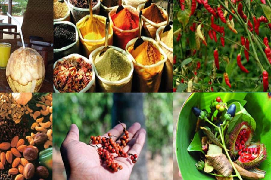 Zanzibar: Private Stone Town, Prison Island & SpiceFarm Tour - Is $99 a fair price?