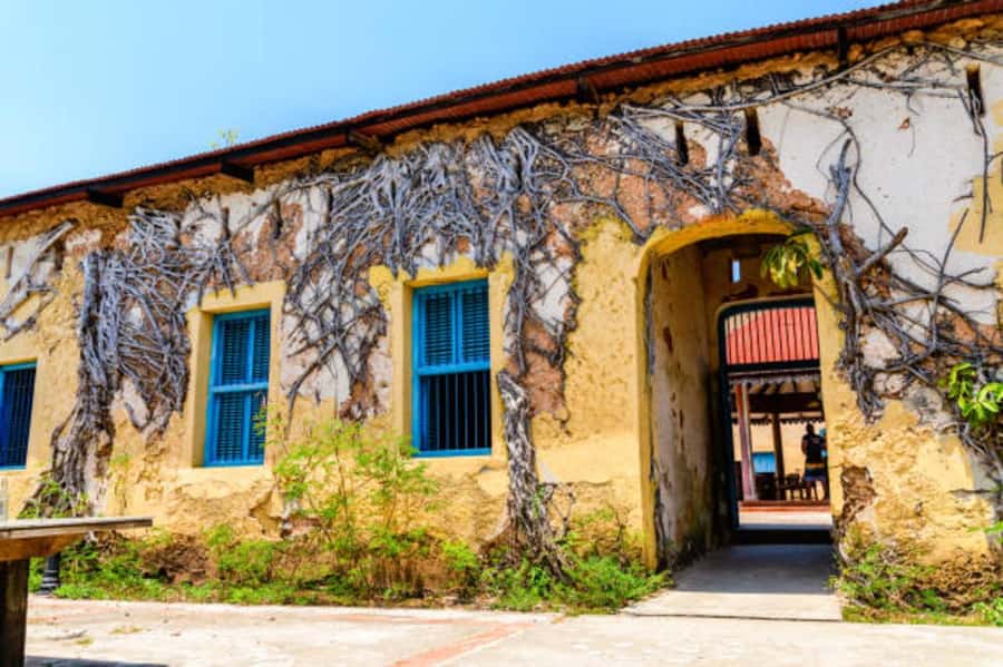 Zanzibar: Private Stone Town & Prison Island Tour - Key points at a glance
