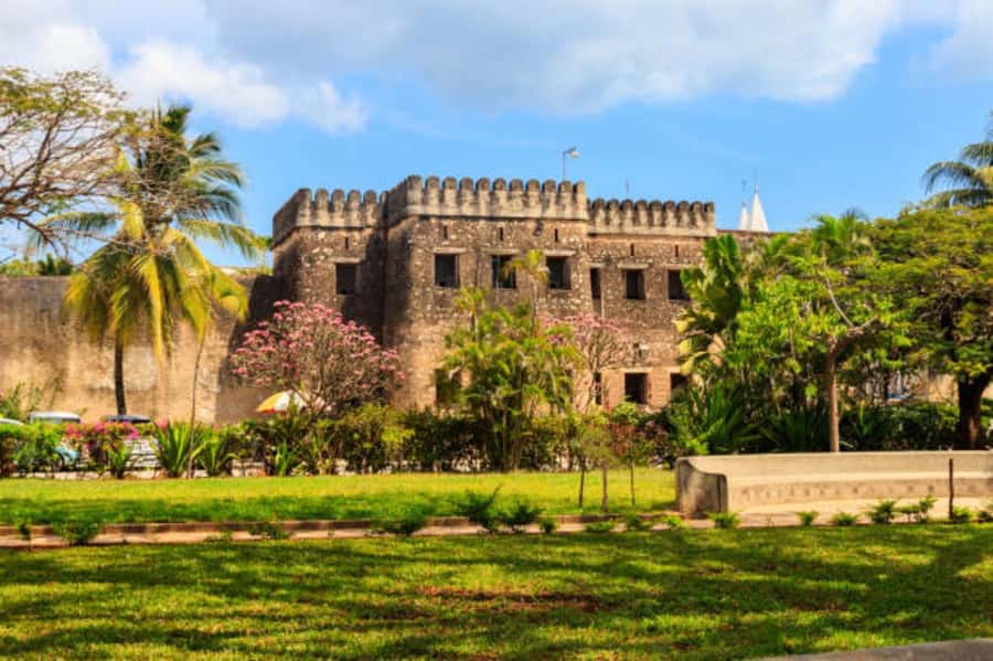 Zanzibar: Private Stone Town & Prison Island Tour - What the guide adds to the city tour