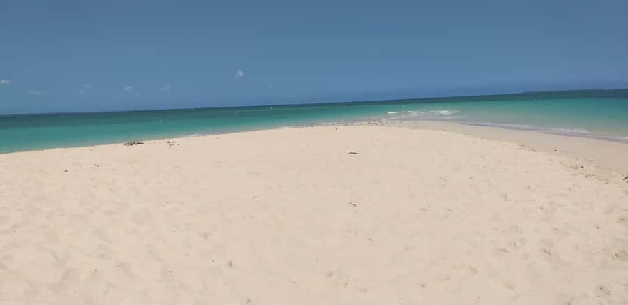 Zanzibar: Private Stone Town & Prison Island Tour - Taking the 25-minute boat to Prison Island
