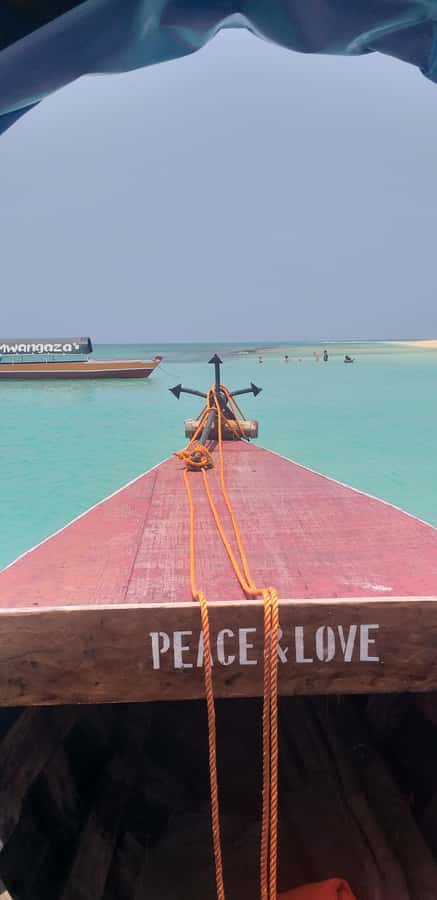 Zanzibar: Private Stone Town & Prison Island Tour - Practical details that affect your day