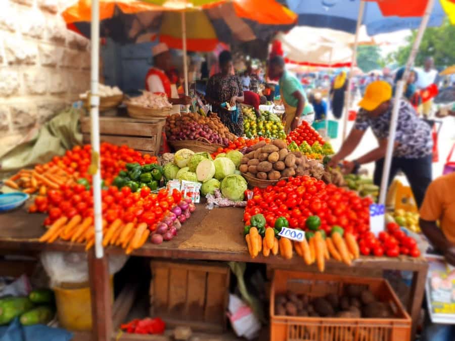 Zanzibar: Private walking tour in stone town - Who should book this Stone Town walk?