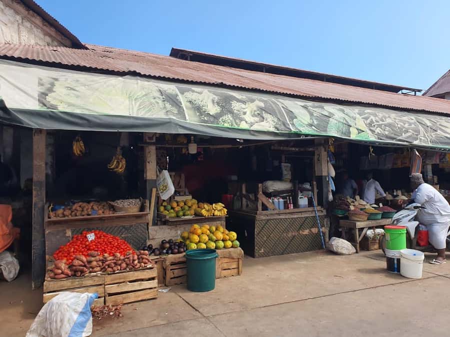 Zanzibar: Private walking tour in stone town - House of Wonders and the Palace Museum